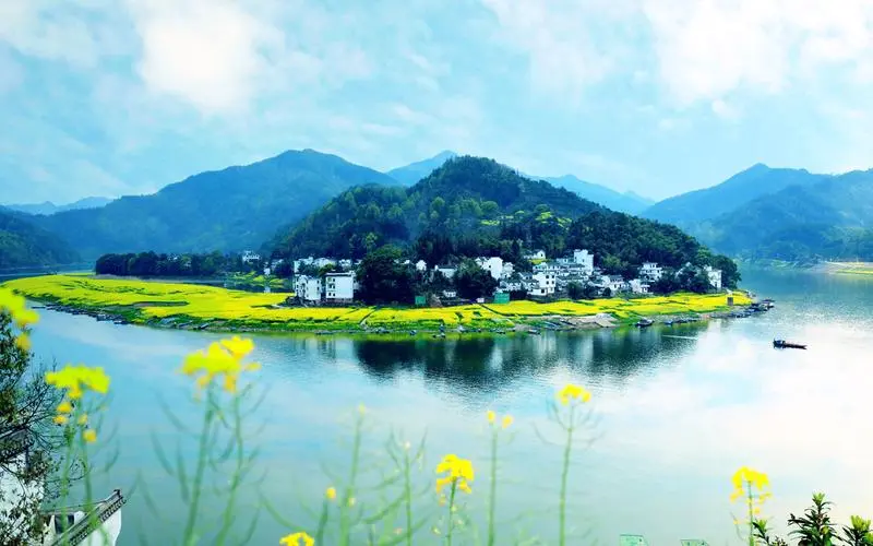 创意创新先进